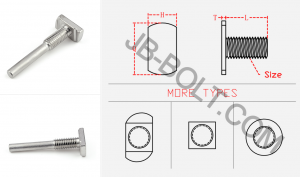 T-shaped Bolts Fastener