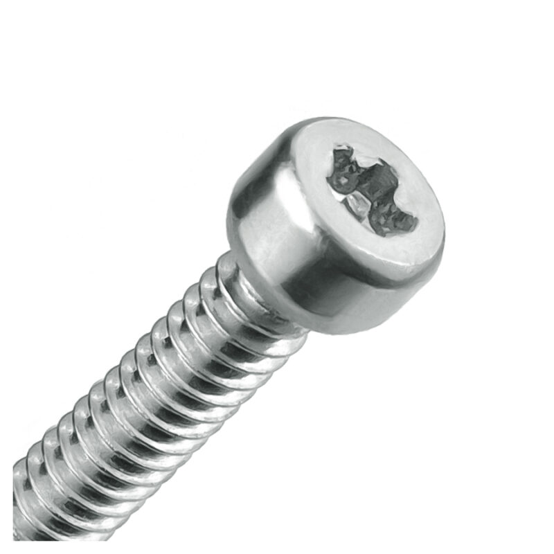 Internal plum blossom cyclic head torx screw