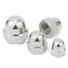 DIN1587 Hexagonal Cap Nuts