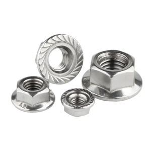 M6 M8 M10 M12 Stainless Steel Hexagon Flange Nut