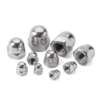 SS 304 Hexagonal Cap Nuts