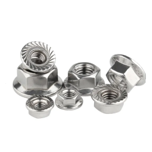 Stainless Steel 304 316 Hexagon Flange Nut