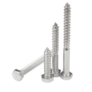 M6-M12 Zinc Plated Screws DIN571 Screw