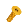 Ti6Al4V Grade 5 titanium Rotor Disc Bolts